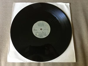 Celine Dion "Because You Loved Me" (1996) Mega Rare 10" Single Demo Acetate - Picture 1 of 1