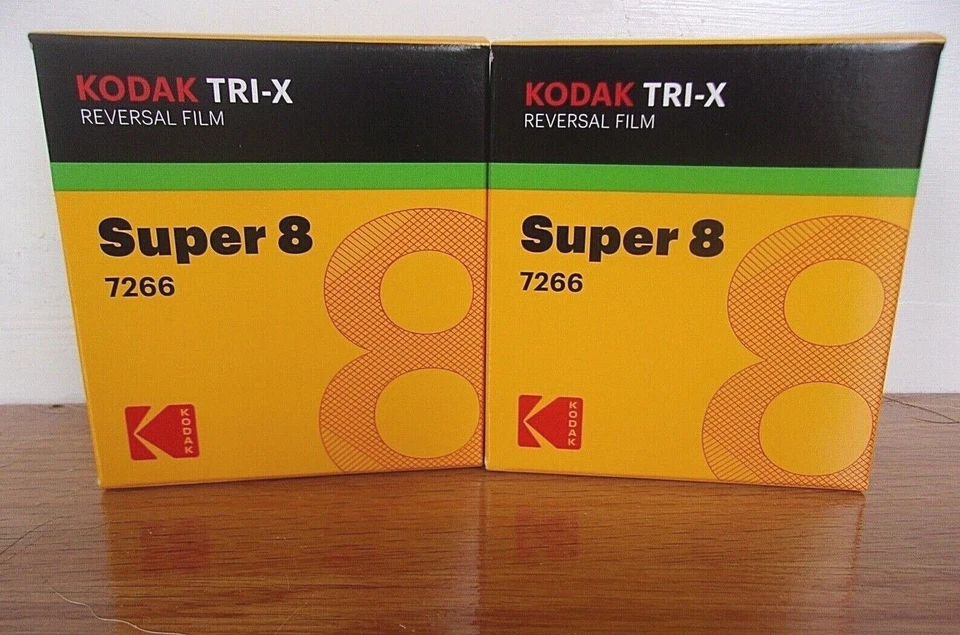 Kodak Professional Tri-X Reversal Film 7266 / TXR464 - Black & white print ISO 200 #5284468