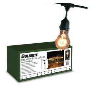 Bulbrite Outdoor/Indoor 48 ft. Plug-in A19 Incandescent Black String Light - Picture 1 of 10