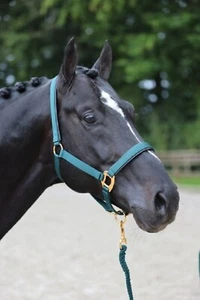 Halfter TopLine - Bild 1 von 3