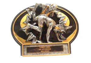 PREMIO RESINA OVALADA MASCULINA RESINA LUCHA LIBRE CIERRE - Imagen 1 de 3