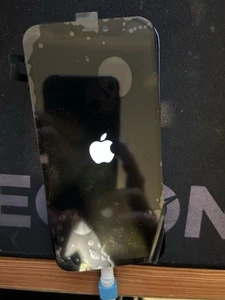iPhone 12 Mini 128gb Blue For Repair Or Parts - Picture 1 of 6