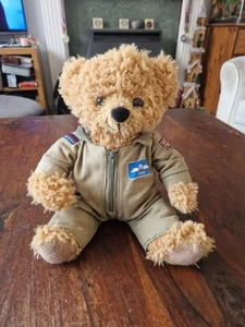 Lovely Vintage Pilot Hero Bear, Royal Air Force Teddy bear - Picture 1 of 7