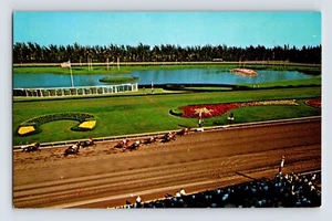 Postcard FLorida Miami FL Hialeah Horse Racing Photo Finish 1960s Unposted - Picture 1 of 2