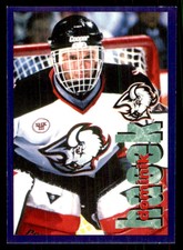 1998-99 Panini Stickers Dominik Hasek Buffalo Sabres #223