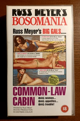 Common-Law Cabin (1967) - 1990s UK VHS Tape / Russ Meyer, Babette Bardot / PAL - image 1 of 4