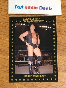 1991 WCW WRESTLING CARD BARRY WINDHAM # 17 CHAMPIONSHIP MARKETING WIDOW MAKER - Picture 1 of 2