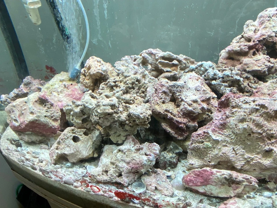 Rocce vive per acquario marino mature  - Immagine 1 di 4