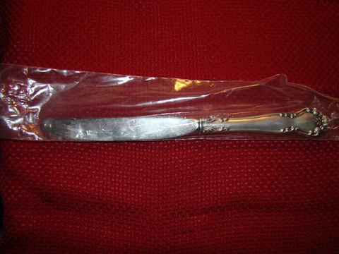 NEW GORHAM STERLING SILVER SECRET GARDEN MODERN BLADE KNIFE NO MONOGRAM Cover