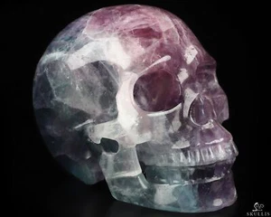 5.1" Fluorite Hand Carved Crystal Skull, Realistic, Crystal Healing - Picture 1 of 8