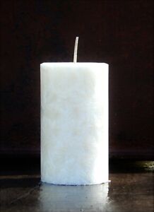 200hr White LEMONGRASS Pure Essential Oil Scented Plant Based Wax Healthy CANDLE