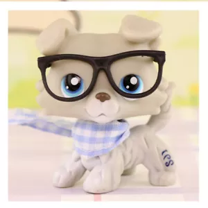 LPS Pet Shop Gris Collie Perro 363 con Gafas Bufanda Lindo Regalo Niños Juguete Genial Niño - Imagen 1 de 2