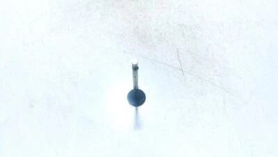 Válvula de escape Volkswagen Golf 2003 usada, original #883157-50 Foto 1 de 2