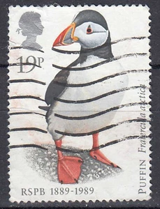 Gran Bretaña Inglaterra estampado pájaro lunde frailecillo loro / 3241 - Imagen 1 de 1