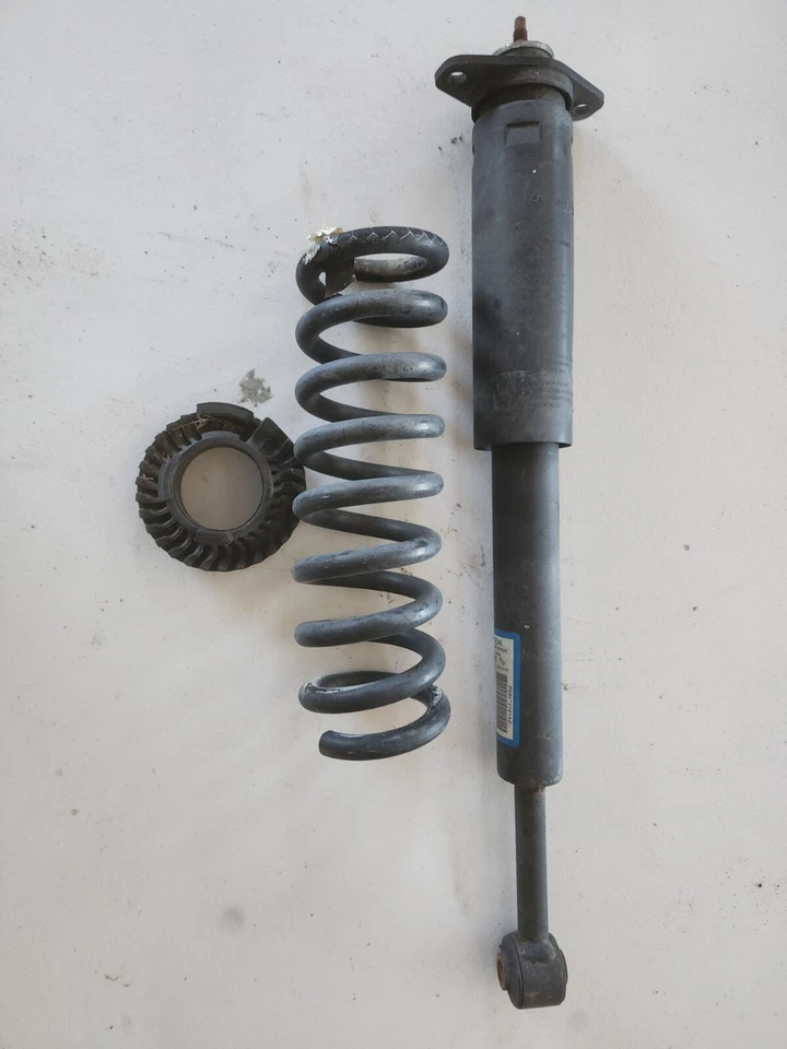 2015-2018 Dodge Challenger / Charger OEM Rear Shock And Coil Spring - Image 1 of 2