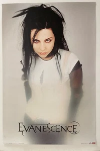 EVANESCENCE, FOTO VON FRANK VERONSKY, AUTHENTISCHES LIZENZIERTES POSTER 2003, LETZTES!! - Bild 1 von 7