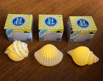 Nuevo en caja 3 luces de porcelana concha marina acento LED luz nocturna portátil funciona con pilas Foto 1 de 4