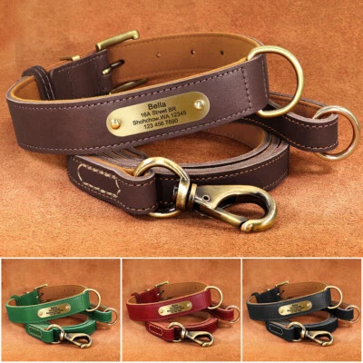 Personalized Dog Collar & Walking Leash Soft Leather Name ID Engraved Adjustable - Image 1 of 4