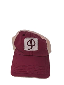 Aspen Colorado Ski Area Embroidered Logo Red And Pink Hook & Loop Hat - Picture 1 of 8