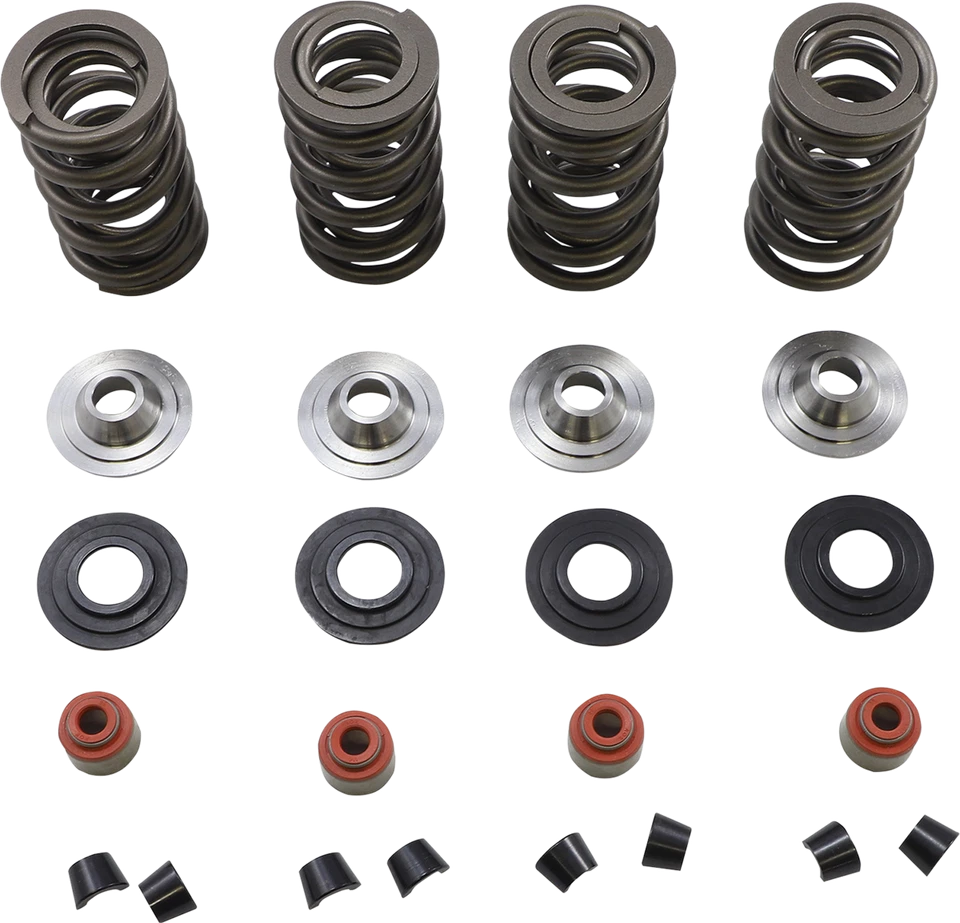 Kit de resorte Kibblewhite 20-23650 09-21 Harley-Davidson Iron 883 XLN Foto 1 de 1