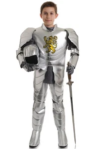 Renaissance Medieval Boy Knight Child Costume - Picture 1 of 1