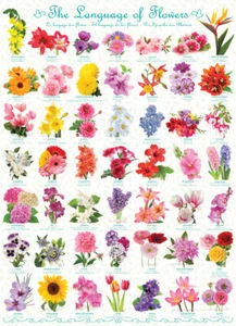 Eurographics The Language of Flowers 1000 Piece Jigsaw Puzzle - Picture 1 of 3