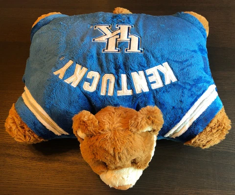 Kentucky Wildcats Pillow Pet NCAA 2009 LARGE 18 inch by 12 inch Cover