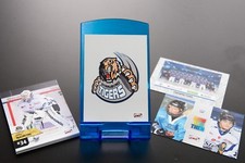 2017/18 LED Playercards - Series 2 - Straubing Tigers Team Set + Bonus
