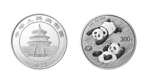 2022 30g Silver Chinese Panda - Picture 1 of 1