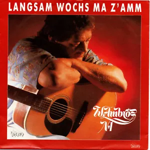 Wolfgang Ambros - Langsam wochs ma z'amm - 7" Vinyl Single - NEU - Bild 1 von 1