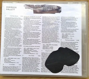 In Conflict von Owen Pallett (CD, Mai-2014, Domino) Kunststoffhülle - Bild 1 von 6