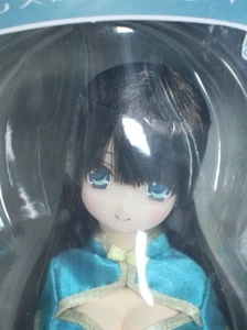 Muñeca de coordenadas Azone EX ☆ LINDA Family Fuka Otome no Kyujitsu Sanpo RARA sin usar - Imagen 1 de 3