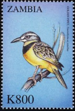 Zambia #Mi1210 MNH 2000 Birds Golden Pipit [893]