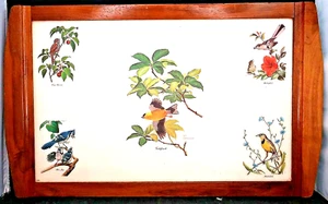 Guy Coheleach Songbird Tray Oak Construction 20" By 12", Rare and OBO - Picture 1 of 8