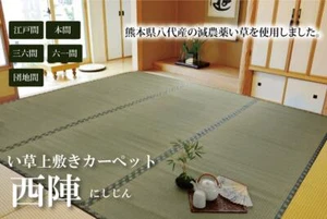 IKEHIKO Japanese Tatami Mat rush grass Modern Igusa Carpet Rug NISHIJIN Reverse - Picture 1 of 18