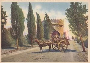 *Rome Postcard-"Tomb of Cecilia Metella"  (Served Under Julius Caesar) {US2-12}- - Picture 1 of 1