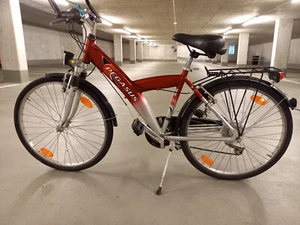 Fahrrad Pegasus Kinder, Jugendliche, Rahmengröße 44 cm, Farbe: rot/silber - Bild 1 von 2