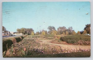 Capitol Grounds Flower Garden Oklahoma State Capitol Oklahoma City OK Postcard - Picture 1 of 2
