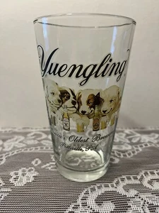 Yuengling Brewery Dogs Logo Puppies Pottsville, PA 16 oz Pint Beer Glass  EUC - Picture 1 of 8