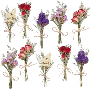 10 Pack Dried Flower Forget Me Not Bouquets Natural Dried Flower with Stem Dried - Picture 1 of 12