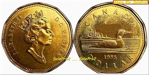CANADA 1995 REGINA CANADESE ELIZABETH II LOONIE VAR. 2 RARA MONETA DA 1 DOLLARO UNC - Foto 1 di 2