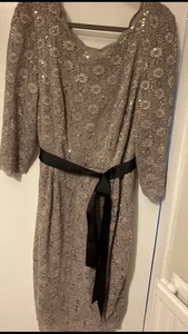 ALEX evenings Sequin dress- 18W - Picture 1 of 5
