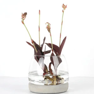 Glas Vasen Glas Vase Herz Kristall Vasen Für Blumen Klar Vase - Bild 1 von 12