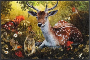Ab Lager Fußmatte wash+dry Forest Whisper ca.50x75cm  Kleen Tex Rehbock Hase - Bild 1 von 6