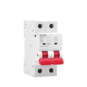 GEYA AC Mini Circuit Breaker MCB 2P 6/10/16/25/32/40/50/63A 6kA C Curves Switch - Picture 1 of 11