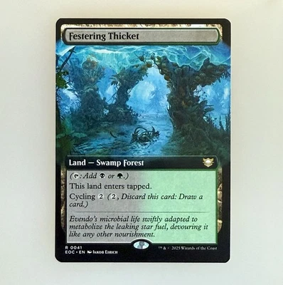 MTG: Festering Thicket (Extended Art) Commander: Edge of Eternities Reg NM - Image 1 of 2