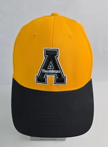 Appalachian Mountaineers Yellow One-Fit Flex Hat L/XL Yellow & Blue Top of World - Picture 1 of 9