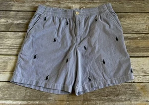 Polo Ralph Lauren Boys Blue Fine Stripe All Over Pony  Shorts Sz 20 - Picture 1 of 4