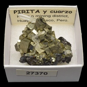 PIRITA y cuarzo (Huaron mining dist. Huayllay, Pasco, Peru) #27370 / Pyrite - Imagen 1 de 1