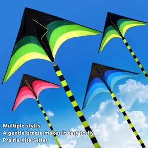 Easy Fly 1.6m Large Delta Kite Long Tail Good Flying Kite Fun Sports - Bild 1 von 12